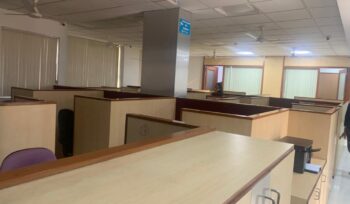WhatsApp Image 2023-01-19 at 5.41.41 PM (2)